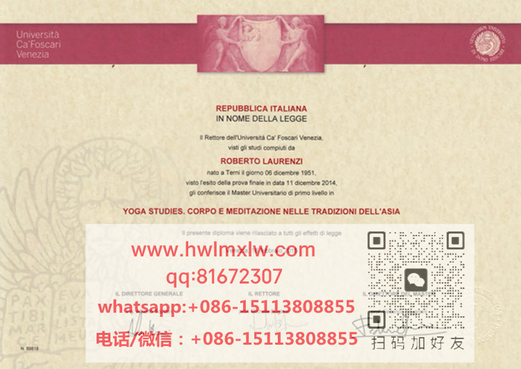 意大利威尼斯大學2015年畢業證書樣本|辦理威尼斯大學畢業證書|製作威尼斯大學碩士學位文憑|Università Ca' Foscari Venezia Diploma Certificate